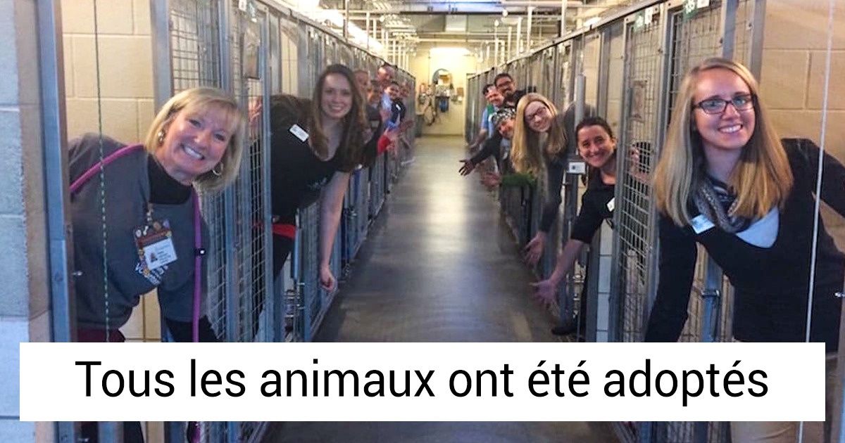 20 Photos qui illumineront même les jours les plus gris