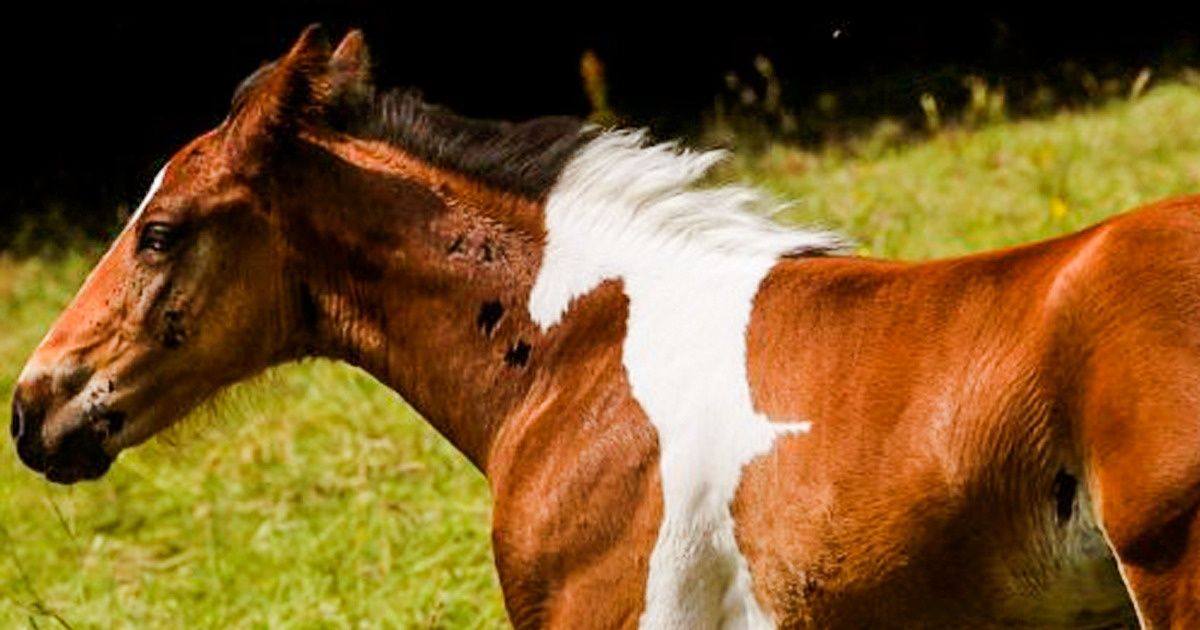 19 Photos qui prouvent que la nature dépasse de loin Photoshop