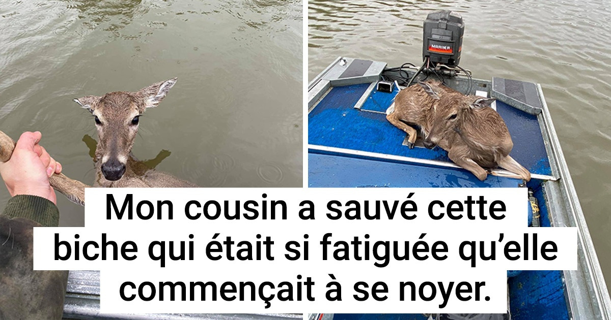19 Personnes qui ont un cœur gros comme l’Univers