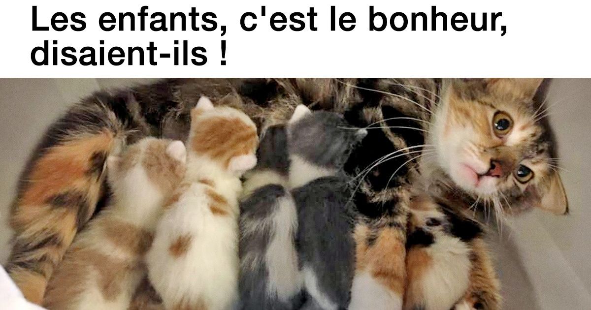 15 Personnes qui transforment n’importe quelle photo en une véritable œuvre d’art grâce à leurs commentaires hilarants 15 Personnes qui transforment n’importe quelle photo en une véritable œuvre d’art grâce à leurs commentaires hilarants