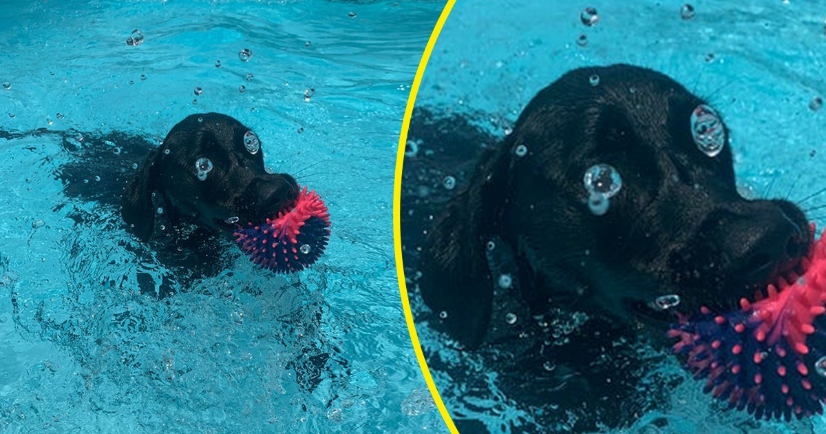 15+ Photos prises avec une synchronisation parfaite