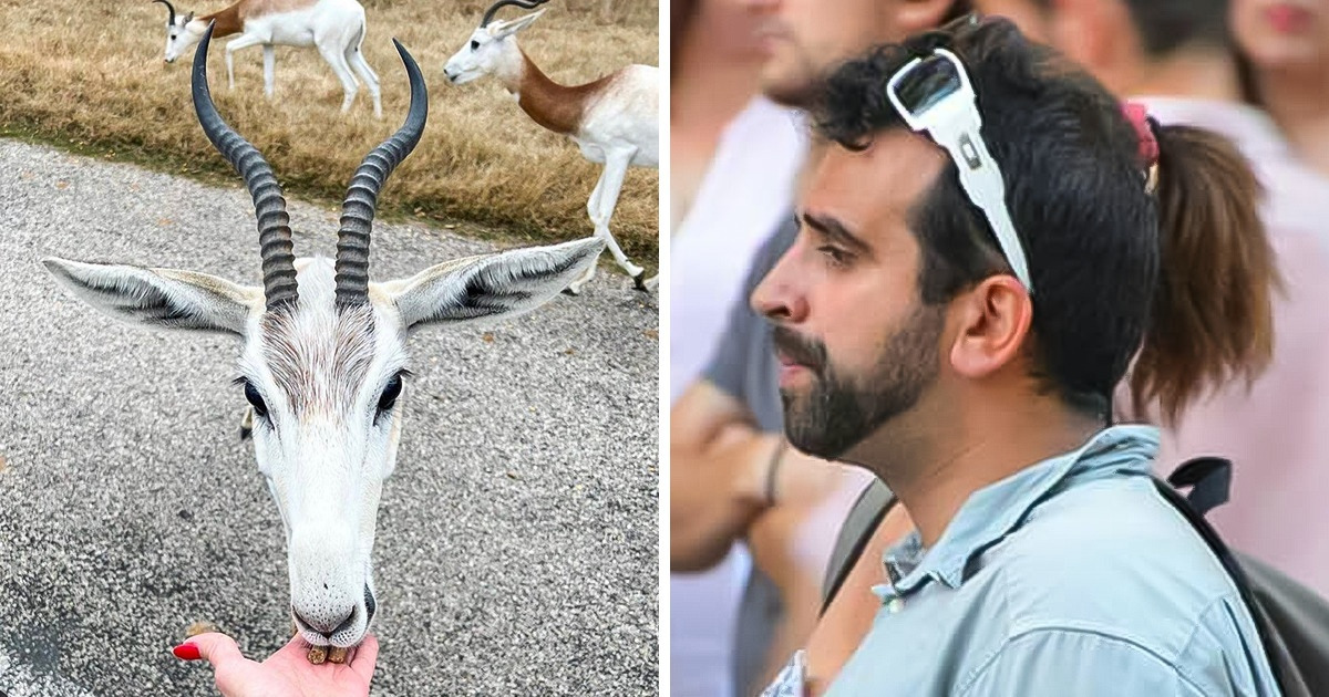 16 Photos qui pourraient te faire prendre rendez-vous chez l’ophtalmo