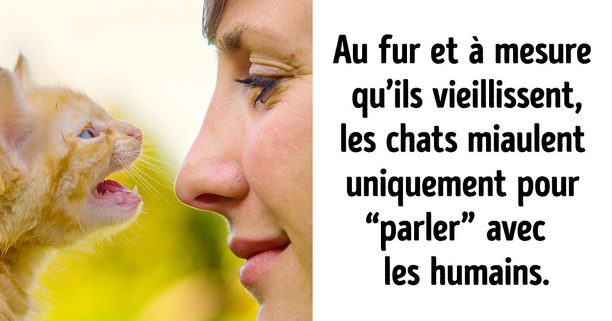 20 Informations curieuses sur les animaux de compagnie qui te donneront envie de les aimer encore plus 20 Informations curieuses sur les animaux de compagnie qui te donneront envie de les aimer encore plus