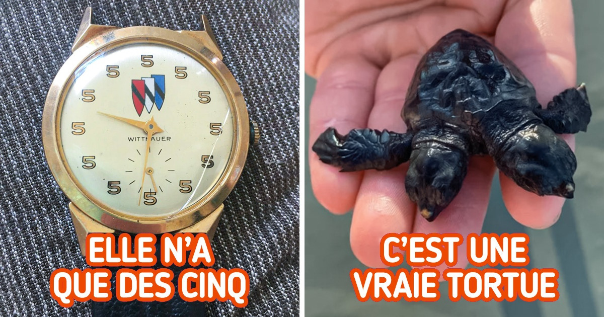 22 Trouvailles inhabituelles qui ont ravi leurs propriétaires