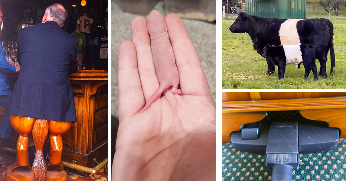 21 Photos qui ouvrent un portail vers le monde des perfectionnistes