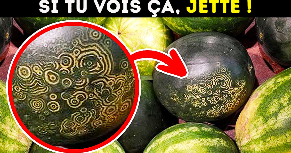 Si tu Vois ça sur Une Pastèque, Prends-en Une Autre Si tu Vois ça sur Une Pastèque, Prends-en Une Autre