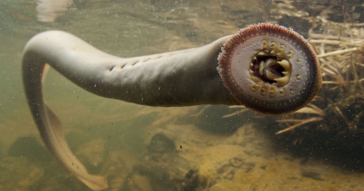 Les 10 eaux les plus dangereuses du monde