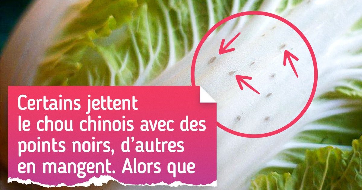 14 Personnes qui ont fait des découvertes si étonnantes que même Einstein serait parmi les jaloux