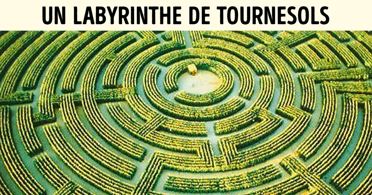 10 Labyrinthes autour du monde qui te donneront envie de vivre dans un conte de fées 10 Labyrinthes autour du monde qui te donneront envie de vivre dans un conte de fées