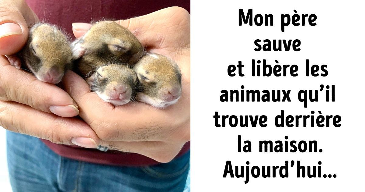 15 Internautes ont décidé de partager des photos qui ne peuvent que nous faire sourire