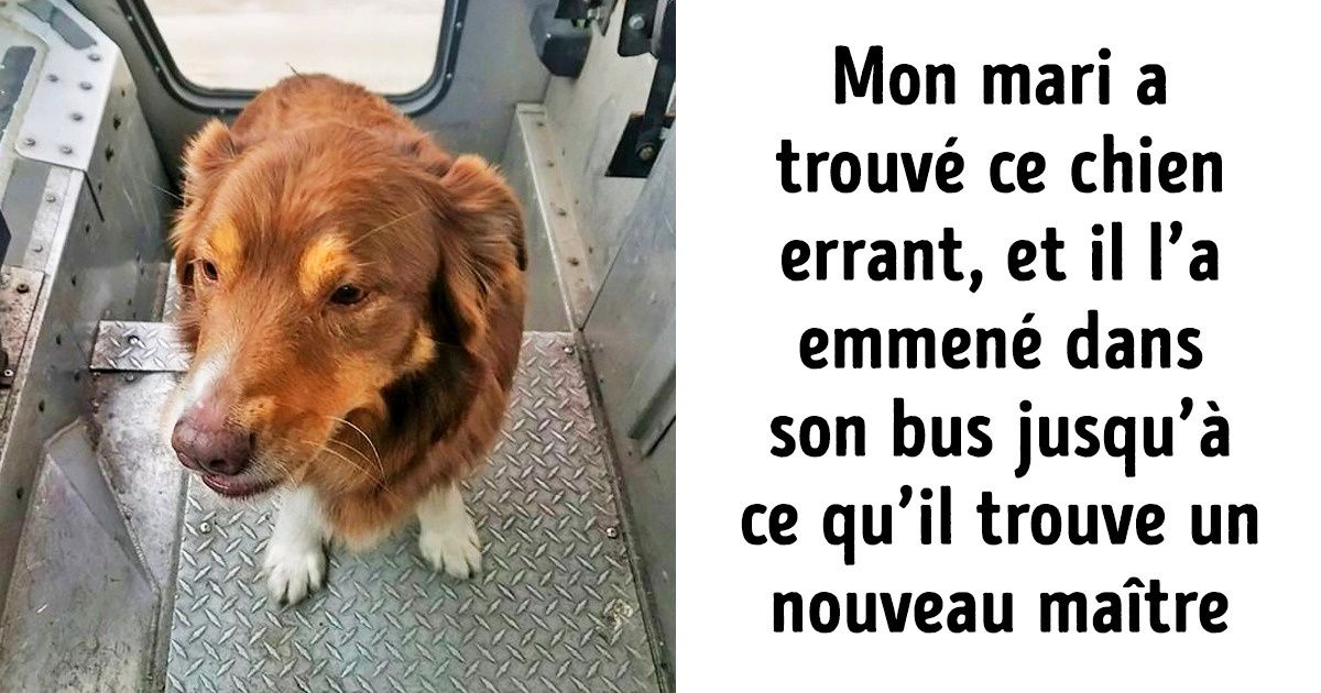 20 Personnes qui ont fait de bonnes actions, sans même porter un masque de super-héros 20 Personnes qui ont fait de bonnes actions, sans même porter un masque de super-héros
