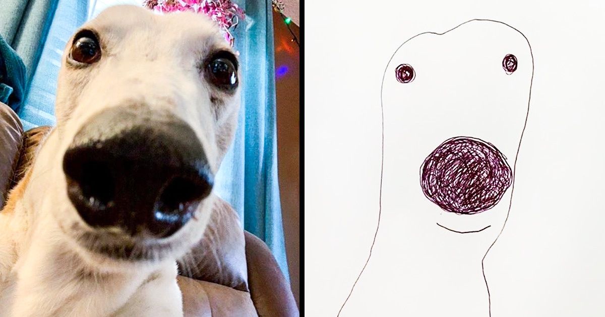 Cette artiste a réalisé des dessins de ses chiens tellement amusants que les internautes sont tombés amoureux de son talent Cette artiste a réalisé des dessins de ses chiens tellement amusants que les internautes sont tombés amoureux de son talent