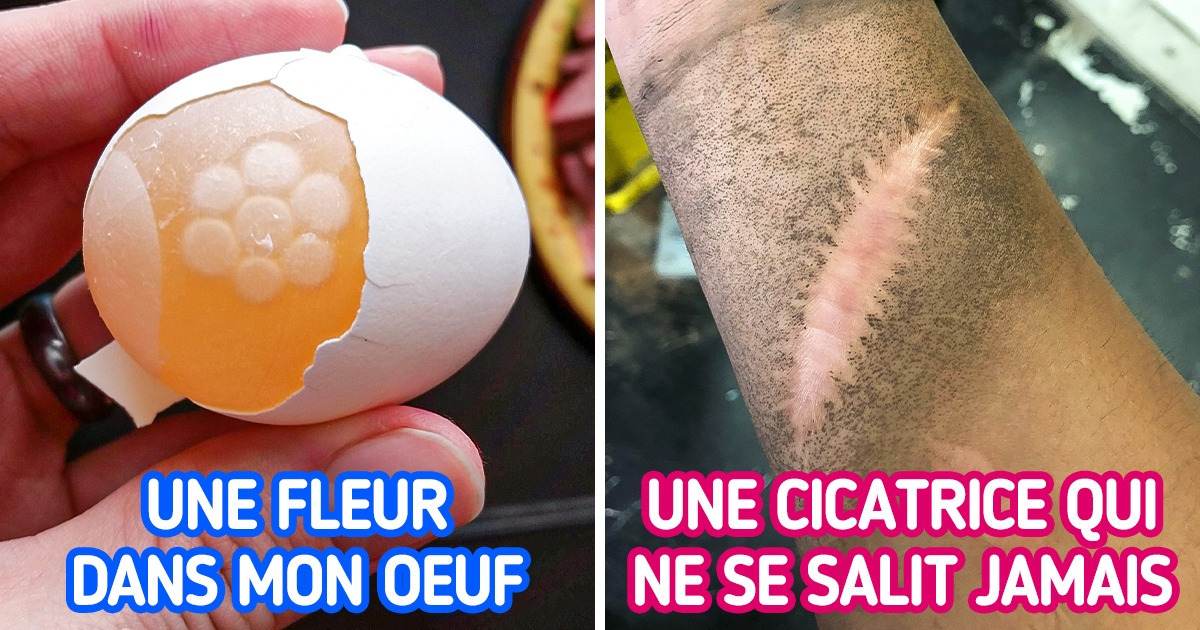 19 Moments où les gens ont remarqué des choses qu’ils ignoraient
