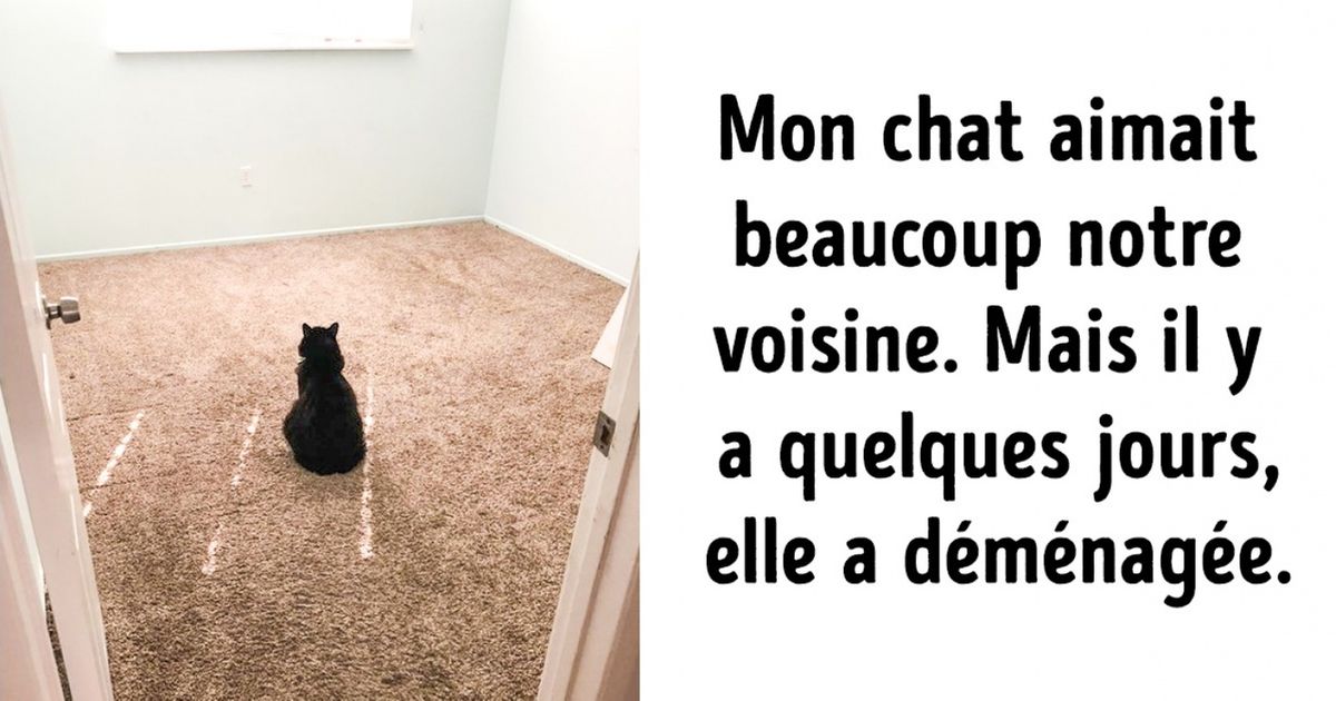 Découvre 20 animaux fidèles qui prouvent à quel point ils nous aiment