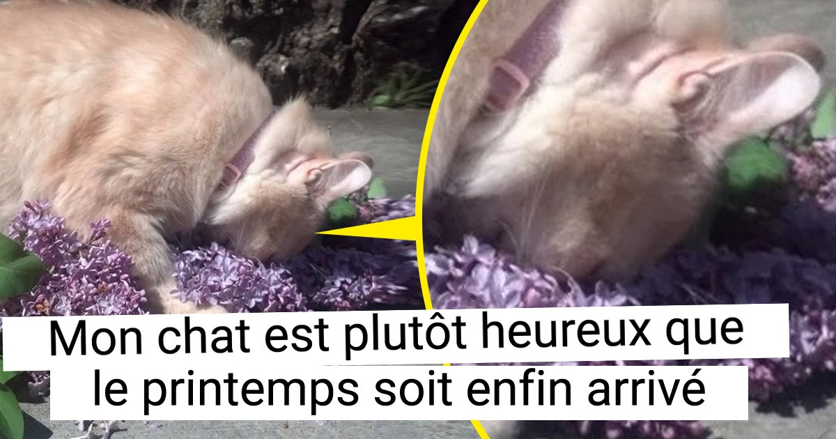 20 Photos de printemps qui font chaud au cœur