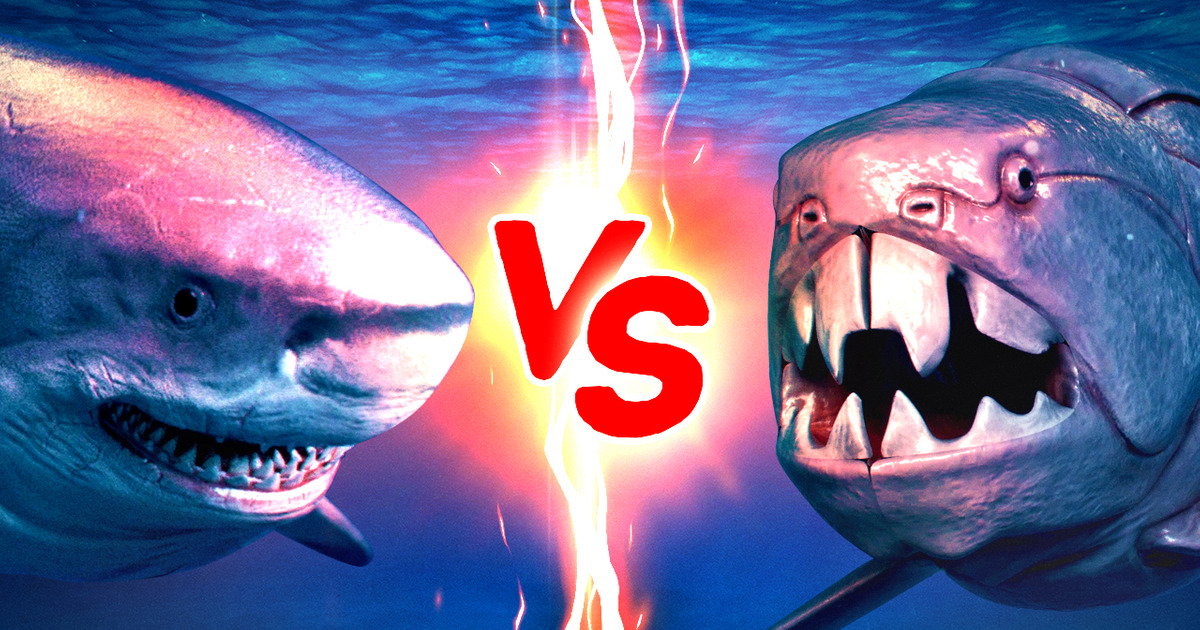 Et si le Mégalodon rencontrait trois des meilleurs chasseurs de tous les temps ? Et si le Mégalodon rencontrait trois des meilleurs chasseurs de tous les temps ?