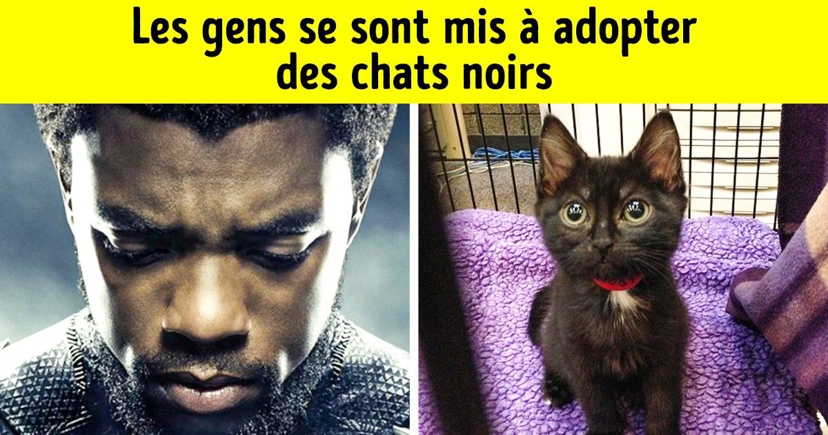 Ces 14 films et séries ont changé notre vision du monde pour toujours ! Ces 14 films et séries ont changé notre vision du monde pour toujours !