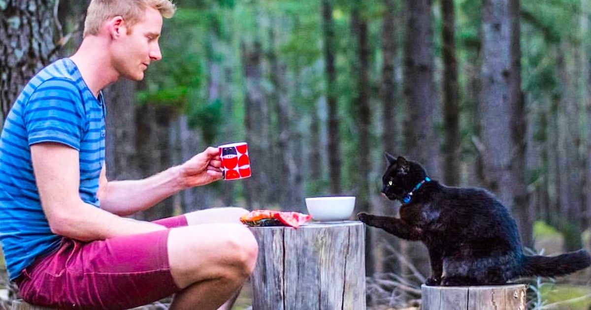 Cet Australien a tout quitté pour voyager en van avec son chat, et ils ont vécu une aventure vraiment incroyable