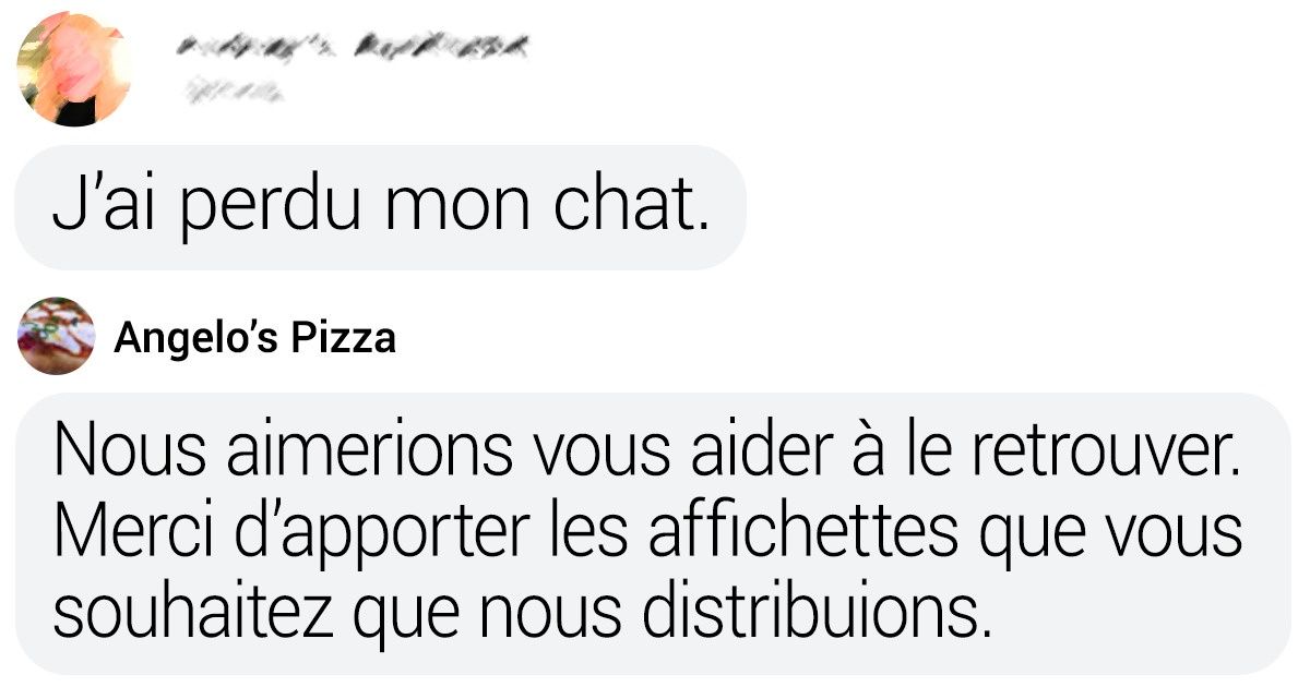Aux États-Unis, une pizzeria aide les animaux de compagnie à rentrer chez eux en mettant des annonces sur leurs boîtes de pizzas Aux États-Unis, une pizzeria aide les animaux de compagnie à rentrer chez eux en mettant des annonces sur leurs boîtes de pizzas