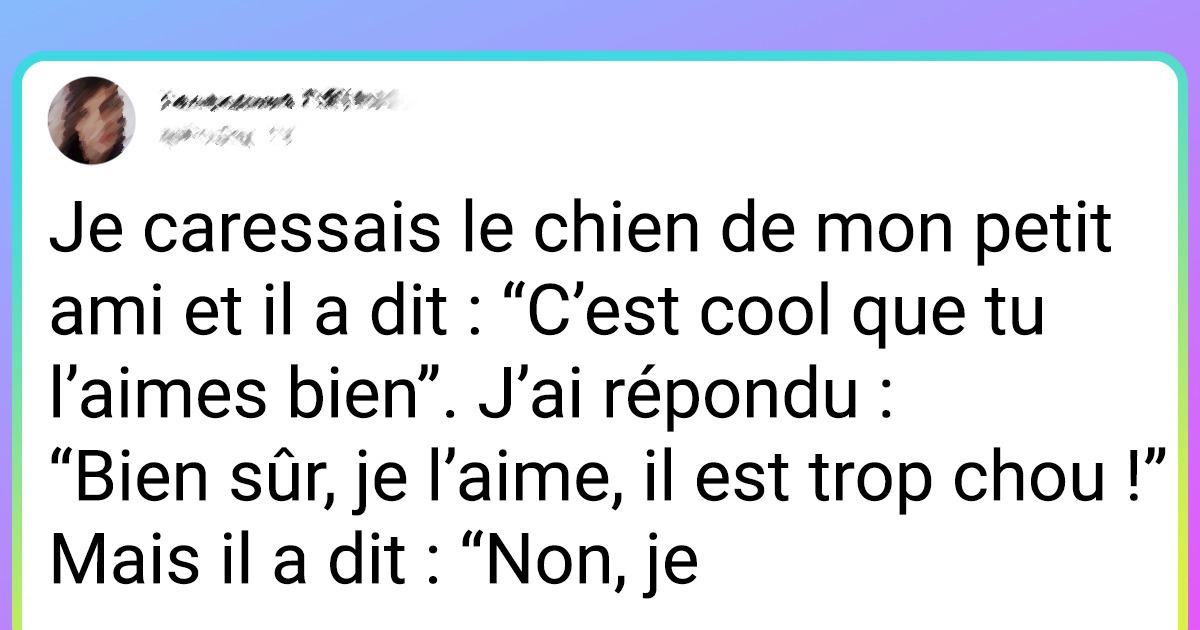 18 Tweets dans lesquels tous les propriétaires de chats et de chiens devraient se reconnaître