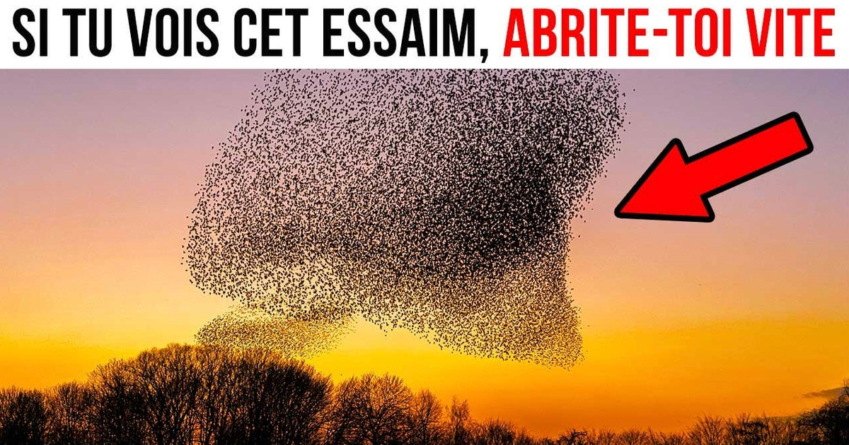 Quand tu Vois ça Dans le Ciel, Trouve-toi un Abris Quand tu Vois ça Dans le Ciel, Trouve-toi un Abris