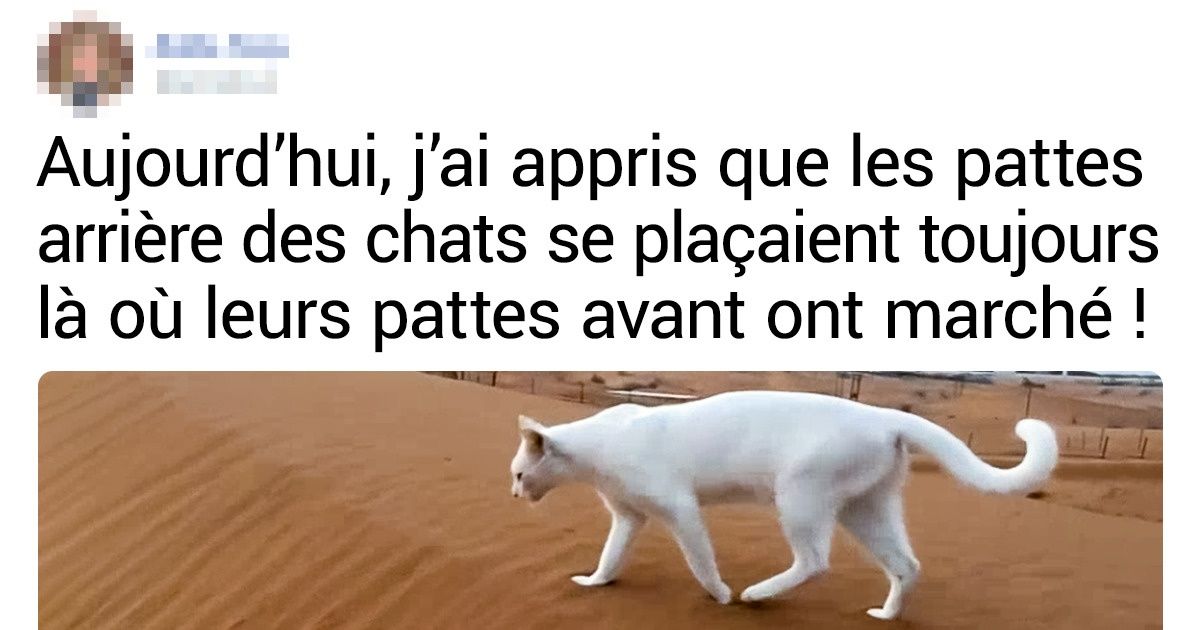 20+ Personnes nous racontent les choses évidentes qu’elles ont découvertes depuis peu
