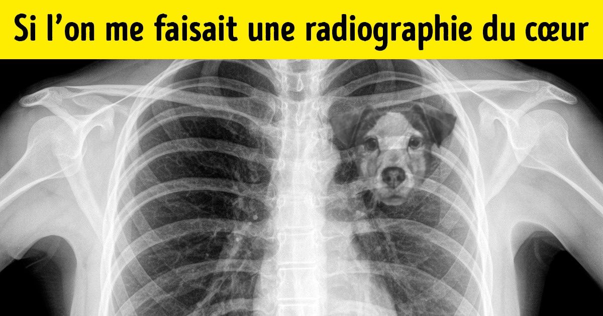 Les scientifiques ont expliqué pourquoi perdre un chien équivaut à perdre un ami très proche