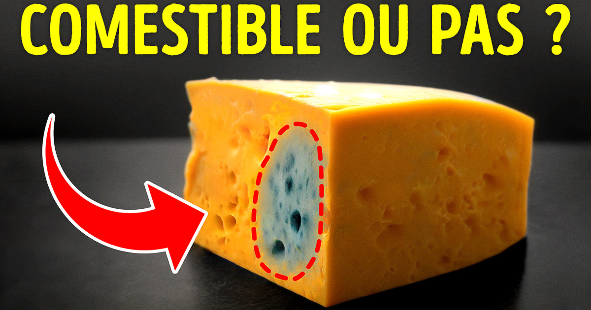 Que Faire Lorsque Tu Manges De La Moisissure Par Accident ?