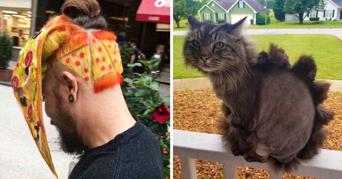 17 Personnes et animaux dont les coiffures originales sont inoubliables