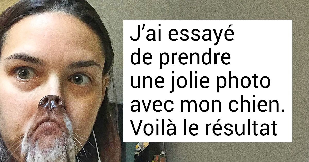 20+ Photos qui prouvent qu’avoir un animal de compagnie peut rendre ton quotidien beaucoup plus drôle