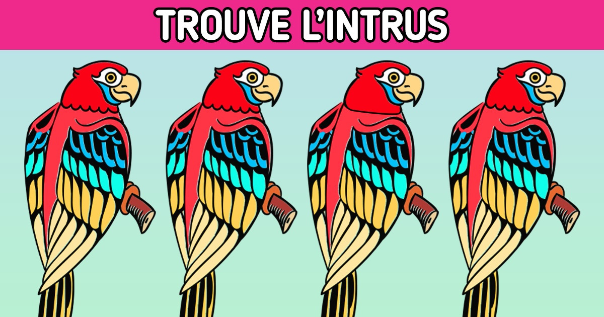 Test : Repère l’intrus dans 15 images en moins de 5 minutes