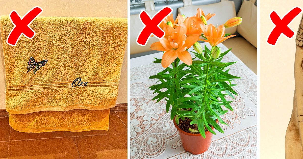 15 Cadeaux qui ne provoquent qu’une seule réaction : “J’aurais préféré avoir de l’argent à la place”