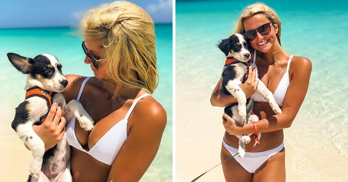 Cette île des Caraïbes accueille de chiots rescapés que tu peux câliner toute la journée : tu vas vouloir t’y rendre immédiatement