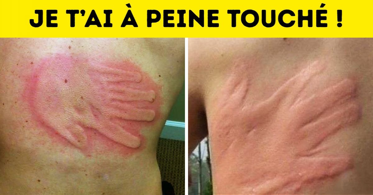 Ces 20 familles ont du soucis à se faire, leurs enfants sont de véritables petits voyous Ces 20 familles ont du soucis à se faire, leurs enfants sont de véritables petits voyous