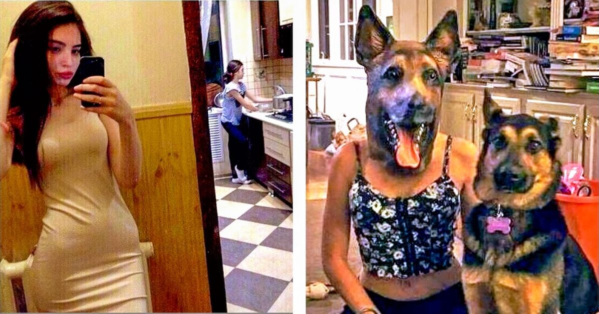 Ces 13 images drôles vont égayer ta journée