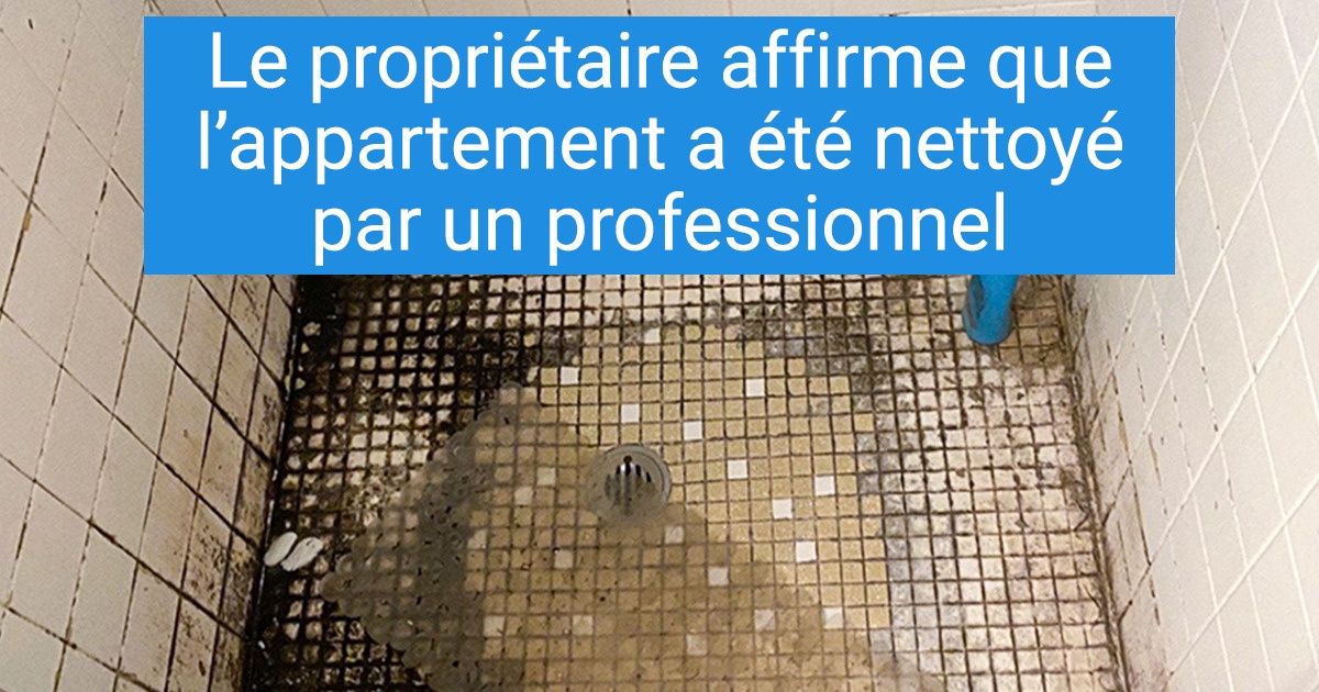18 Preuves que louer une propriété s’apparente à ouvrir la boîte de Pandore
