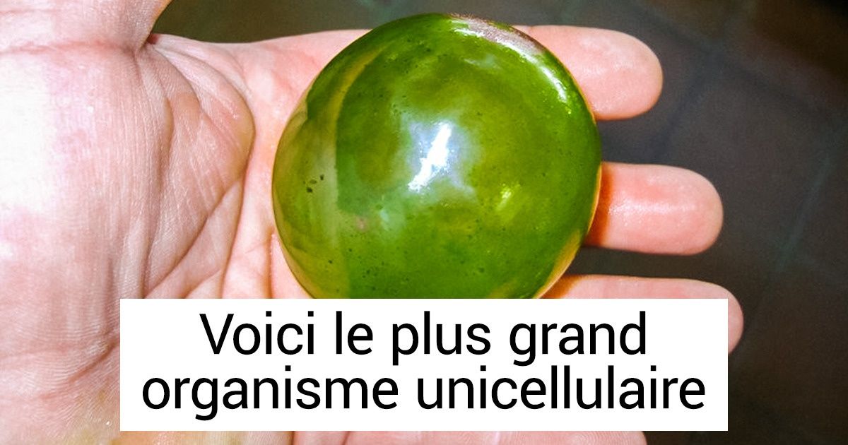 24 Images curieuses de notre monde qui pourraient te surprendre 24 Images curieuses de notre monde qui pourraient te surprendre