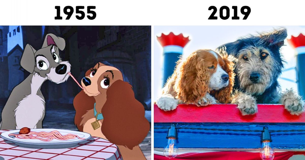 Disney a diffusé des photos des chiens qui joueront dans la nouvelle version de “La belle et le Clochard”, l’un d’entre eux a été sauvé d’un refuge Disney a diffusé des photos des chiens qui joueront dans la nouvelle version de “La belle et le Clochard”, l’un d’entre eux a été sauvé d’un refuge