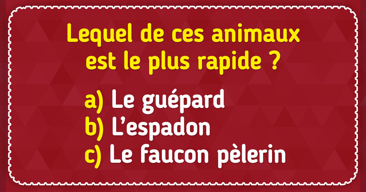 Test de culture générale : découvre à quel point tu es cultivé