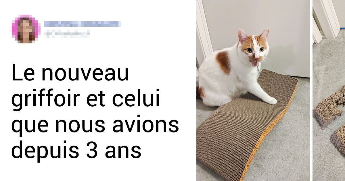 19 Photos qui auraient pu figurer dans un musée sous la légende : “Voici à quoi ressemble le temps”