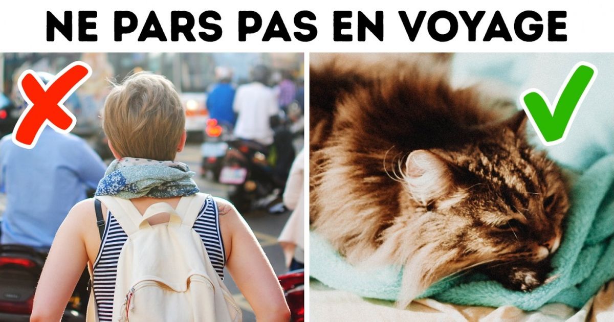 Découvre 6 conseils difficiles que tu ne donnerais pas à quelqu’un mais qui seraient pourtant d’une grande aide
