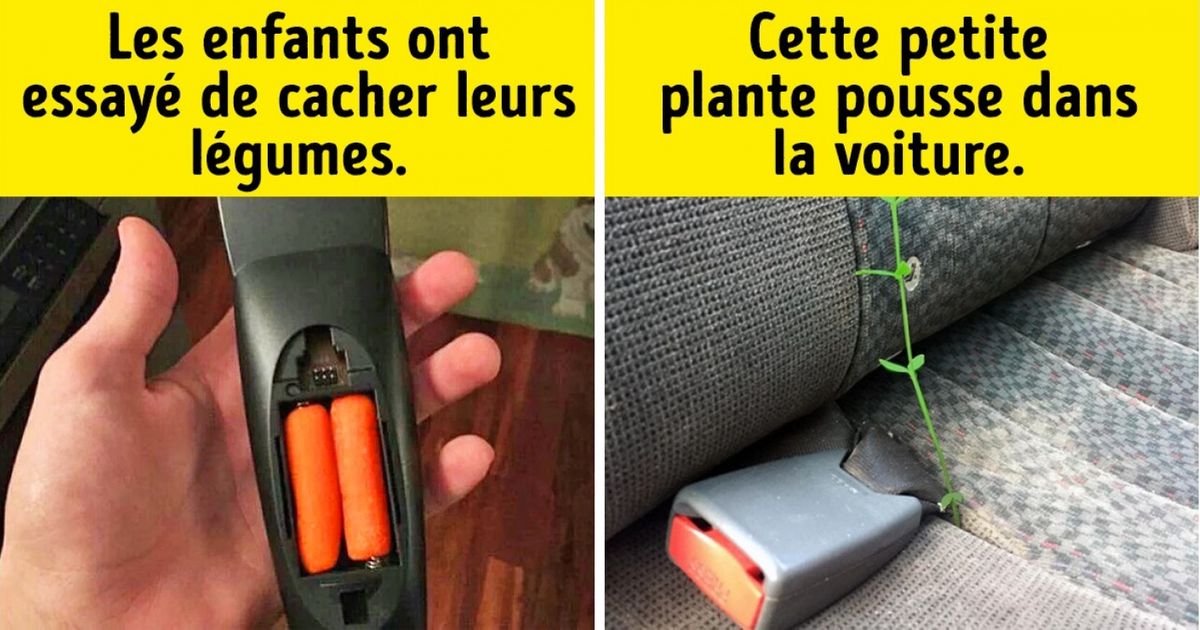 Ces 18 personnes ont fait d’amusantes découvertes dans des lieux inappropriés