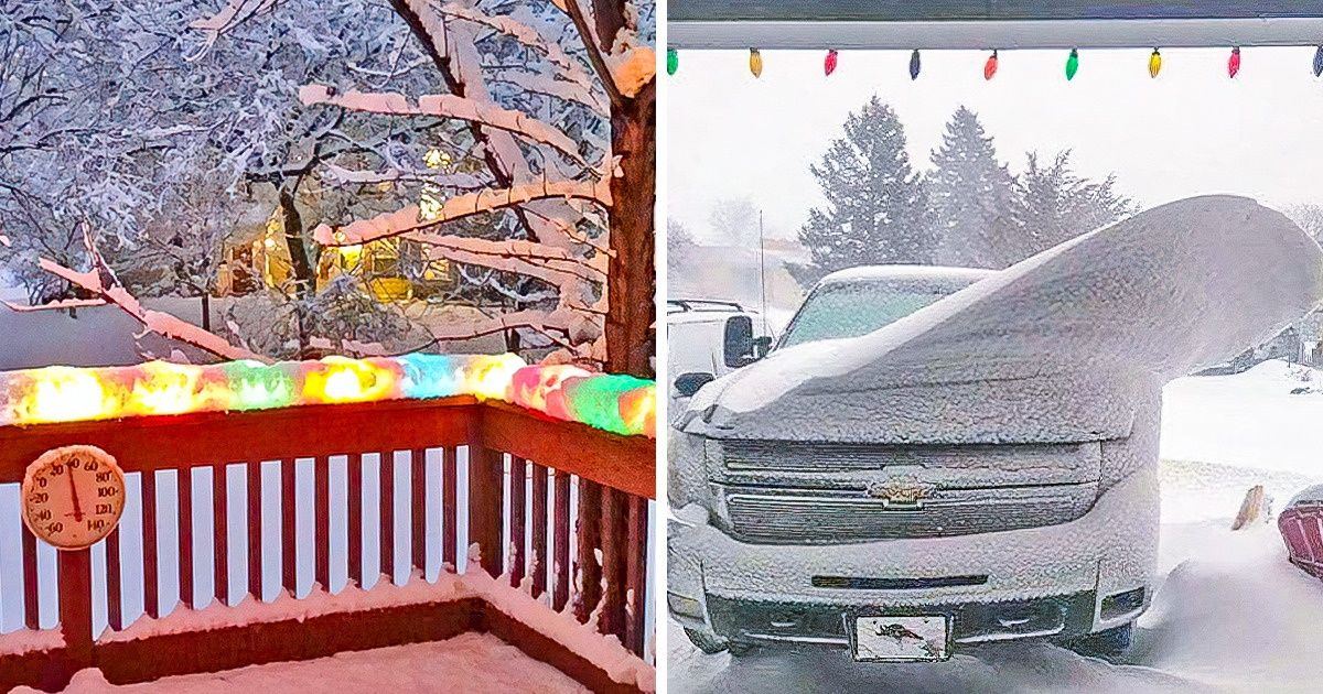 22 Photos qui montrent le pouvoir hypnotique de la neige
