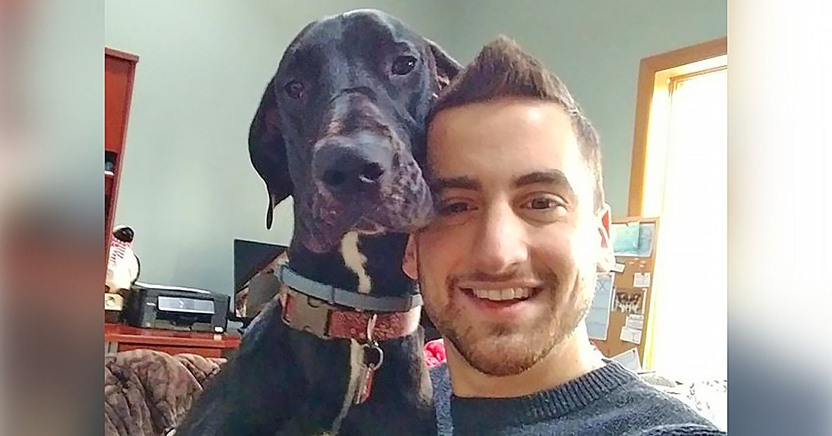 18 dogues allemands qui prouvent que même les chiens géants peuvent être adorables