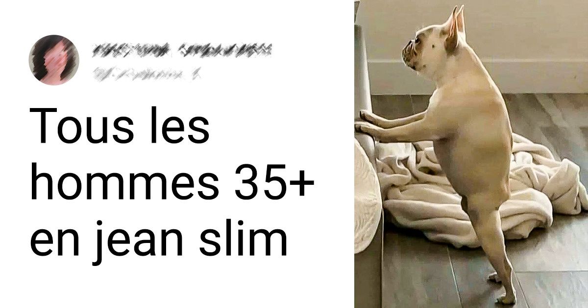 17 Animaux qui ressemblent aux humains comme deux gouttes d’eau