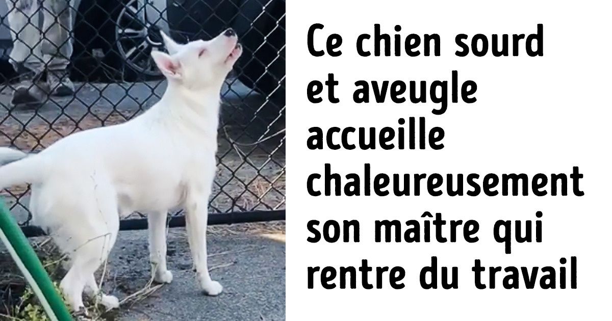 15 Photos cachant une histoire émouvante de la vie elle-même