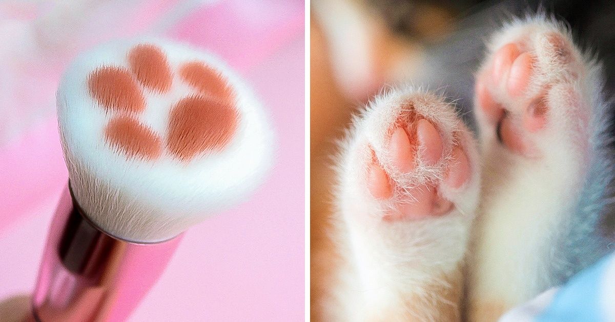 Maintenant tu peux acheter des “pinceaux-chats” qui te donneront l’impression d’être maquillée par un minet