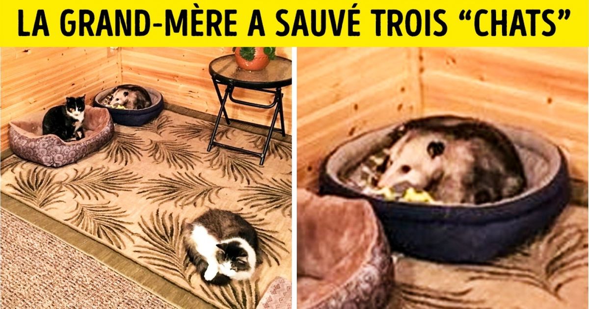 Découvre ces 16 choses curieuses que seules nos grands-mères sont capables de faire