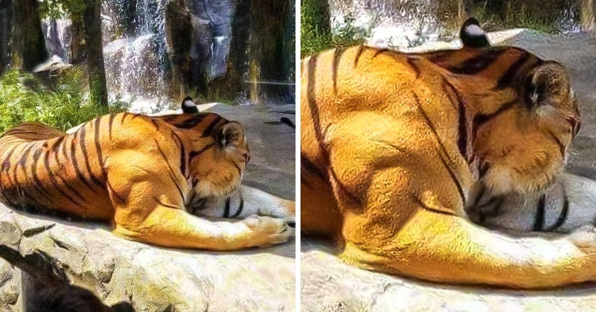 Jette un coup d’œil à ces 23 découvertes bizarres que tu voudras regarder de plus près