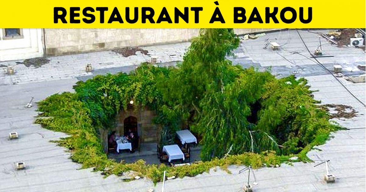 Voici 12 restaurants internationaux d’exception où la nourriture n’est pas l’essentiel Voici 12 restaurants internationaux d’exception où la nourriture n’est pas l’essentiel